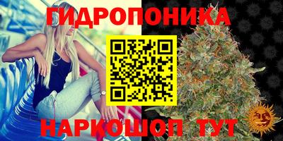 Альфа ПВП Малоярославец