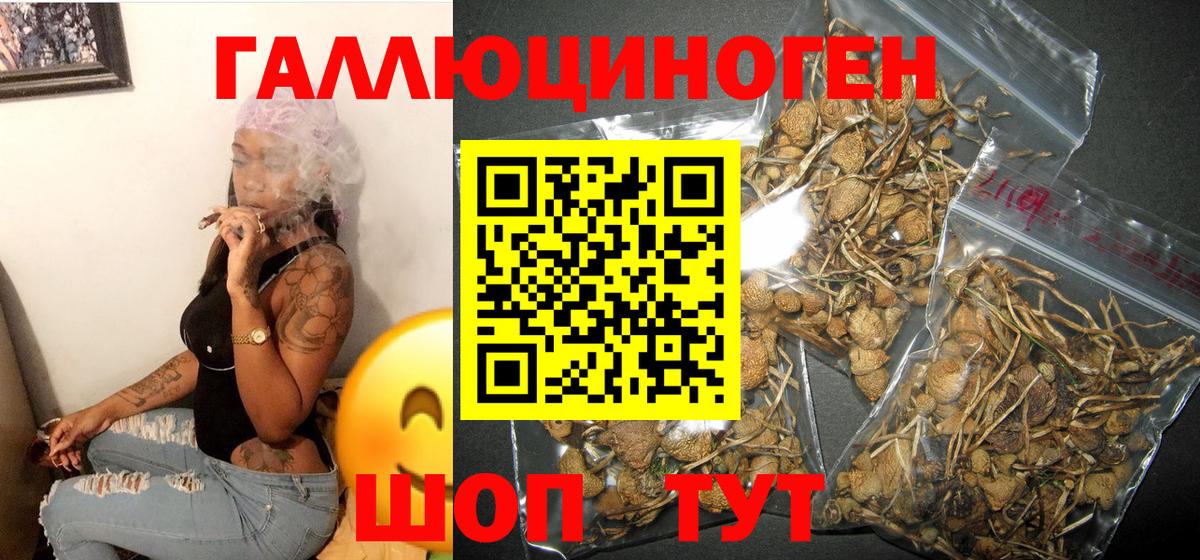 Галлюциногенные грибы Psilocybe  Вход с VPN  Волгоград 